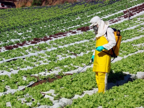 Las verdades y mentiras de la ‘Seguridad Alimentaria’