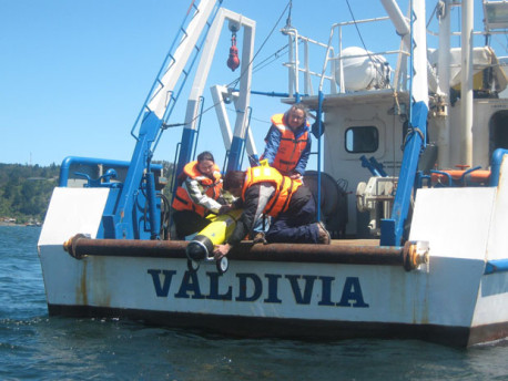 Investigación en costa chilena con bajos niveles de oxígeno, entregaría respuestas sobre el cambio climático