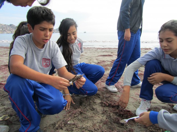 Red escolar de científicos constata aumento de la basura en playas chilenas: En el norte están las más sucias