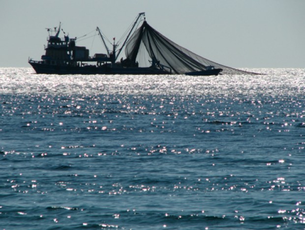 Los dueños del mar chileno