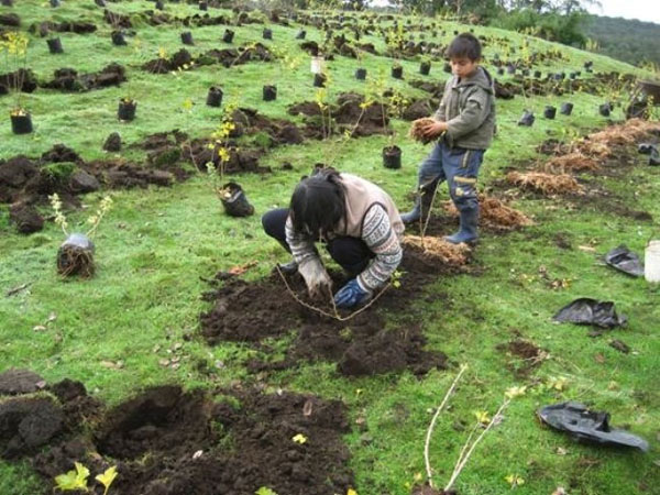 Consejos prácticos: ¿Cómo prevenir daños a la agricultura con la últimas heladas de invierno?