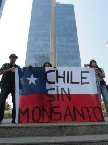 Chile se une a la manifestación mundial contra Monsanto