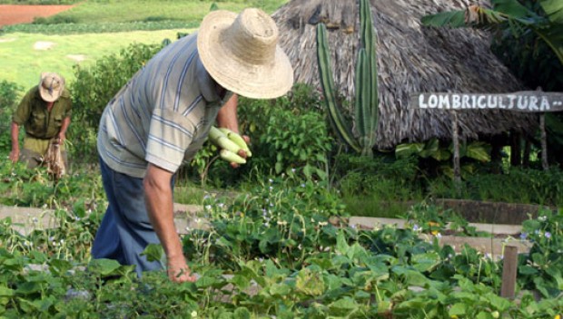 Parlamento aprueba proyecto que permitirá a pequeños agricultores ecológicos comercializar sus productos libremente