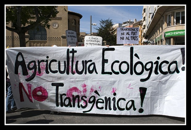 Transgénicos: Carta de La Vía Campesina a Rafael Correa, Presidente de Ecuador