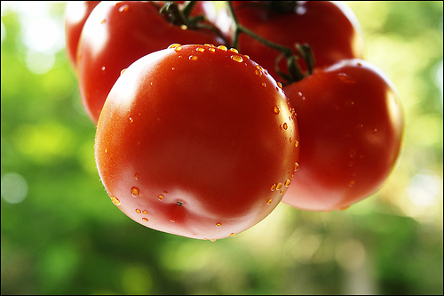 El consumo de tomates disminuye el riesgo de derrames cerebrales