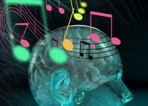 El cerebro, ¿una ‘caja de música’?