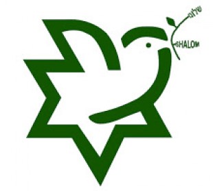 Centro Progresista Judío Meretz Chile se pronuncia por polémica entre El Ciudadano y la Comunidad Judía de Chile