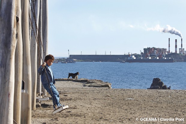 Oceana llama a prohibir nuevas termoeléctricas a carbón en zonas de sacrificio