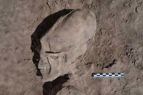 Encuentran en México cementerio con cráneos alargados