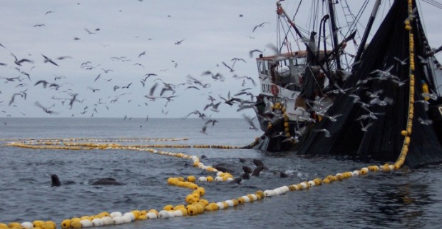 Una Ley de Pesca hecha a punta de sobornos no puede ser menos que derogada