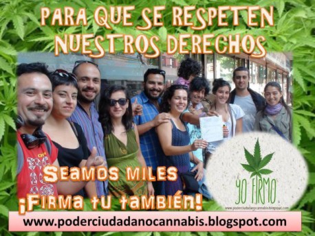 Ciudadanos se reúnen a firmar en notarías por derecho a usar y plantar cannabis