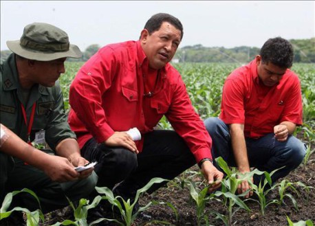 Comuna «El Maizal» contruye socialismo participativo en el campo de Venezuela