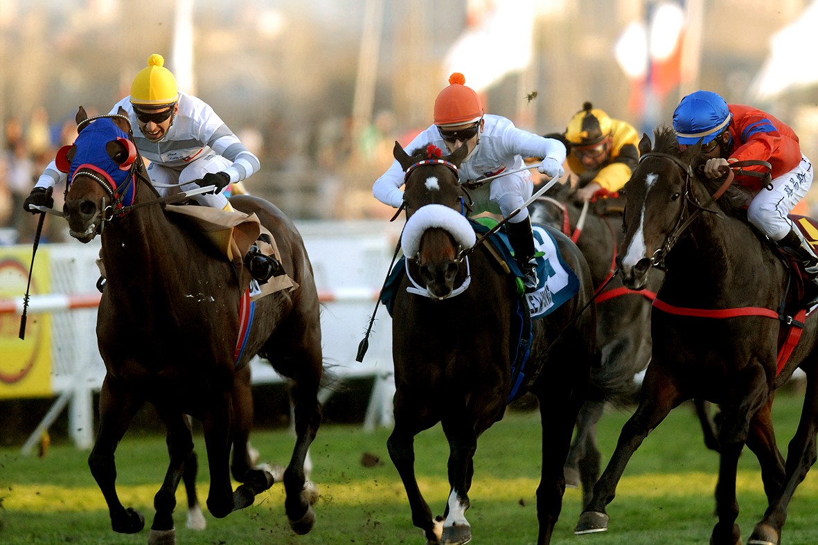 Hípica chilena será conectada con carreras internacionales por medio de “simulcasting”