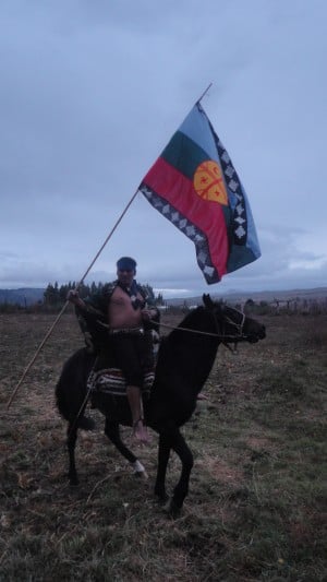 Entregan carta a Relator ONU de paso en Chile sobre situación de comunidades mapuche