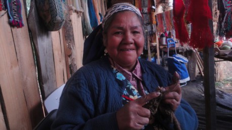 Los pewenches y la fuerza del piñon