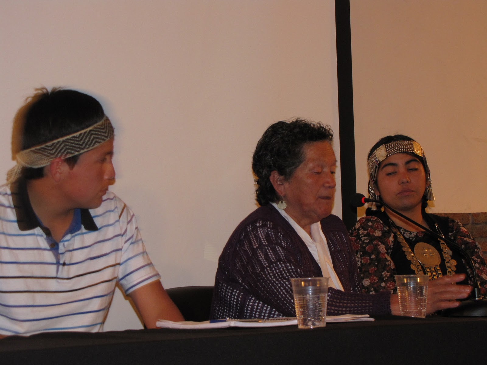 [VIDEO] Mapuche demandan a Chile ante tribunales internacionales