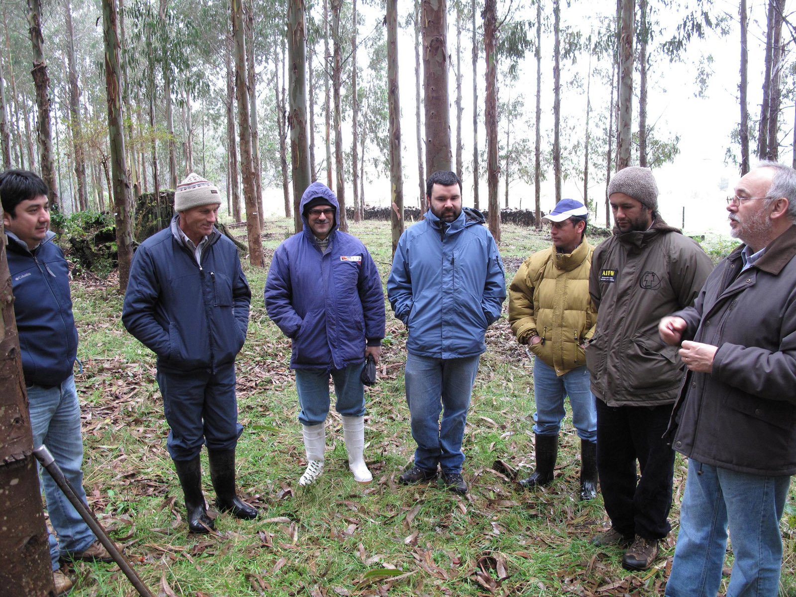 Estudio científico: impactos de plantaciones forestales en suelos frágiles de Chiloé