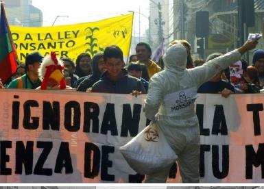 En todo el país los ciudadanos votaron contra la Ley Monsanto