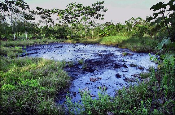 Ecuador rompe su mandato ecológico y libera explotación petrolera en la Amazonía
