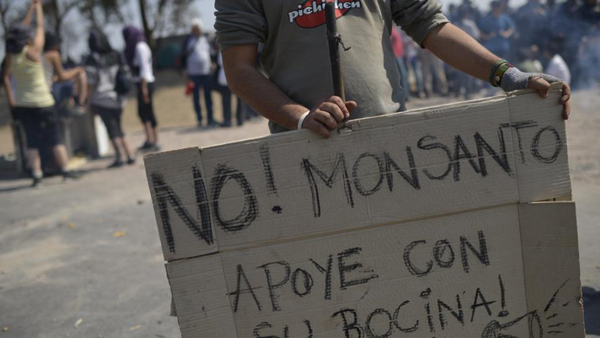 Argentina: Golpes y detenciones en el bloqueo a Monsanto