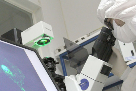 Científicos chilenos prueban inmunoterapia que frena el avance del cáncer de próstata