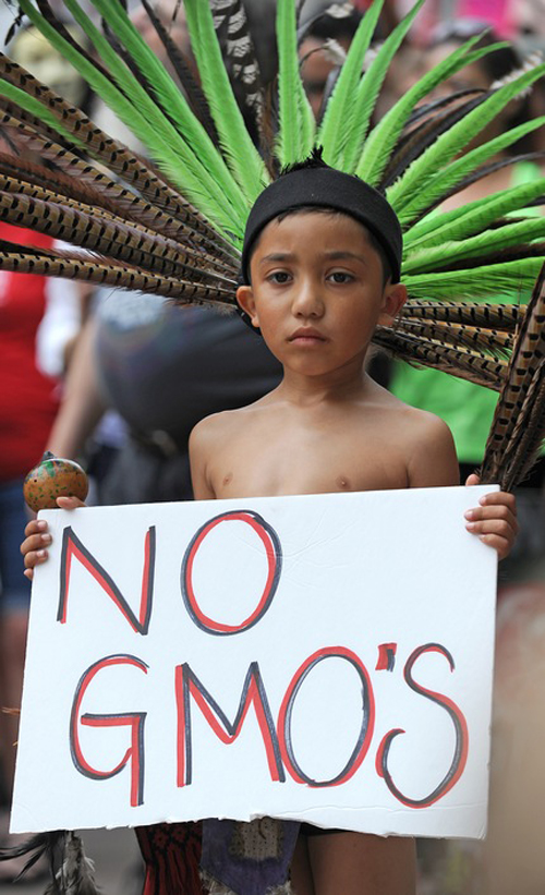 Más de 400 ciudades del mundo dijeron No a Monsanto y los transgénicos