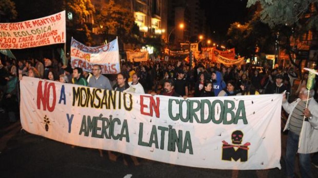 Otro revés de Monsanto en Argentina: Rechazan estudio de impacto ambiental de megaplanta
