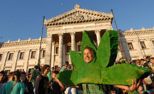 Uruguay protegerá datos de consumidores de marihuana para que no sean discriminados