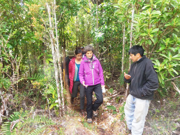 Campesino chilote da el ejemplo con manejo de bosque nativo y turismo sustentable