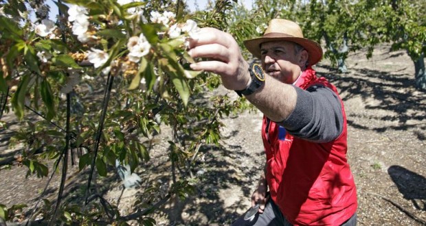 Acciones del ministro Mayol en COPEVAL revelan conflicto de interés en trámite de “Ley Monsanto”