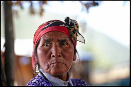 Nicolasa Quintremán, símbolo de la resistencia mapuche contra el poder de ENDESA (VIDEO)