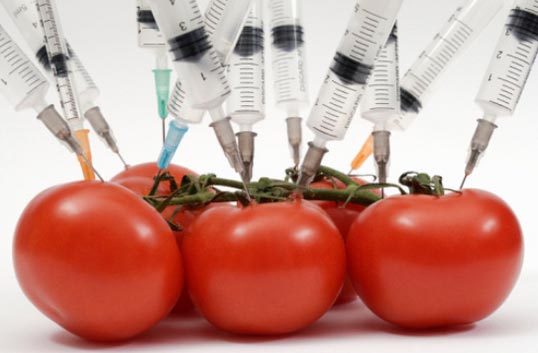 Dudas crecientes: la experiencia de un científico con los organismos modificados genéticamente