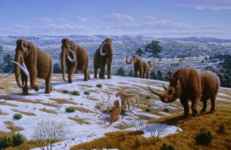 Científicos podrían clonar el primer mamut de la historia