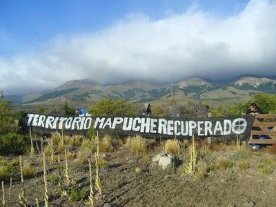 El reformismo mapuche y su alianza estratégica con el empresariado forestal
