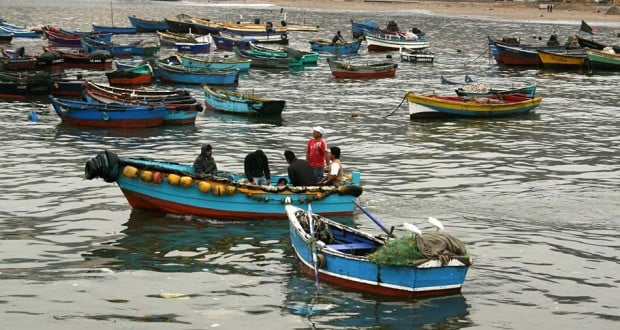 Pescadores artesanales anuncian demanda contra ENAP