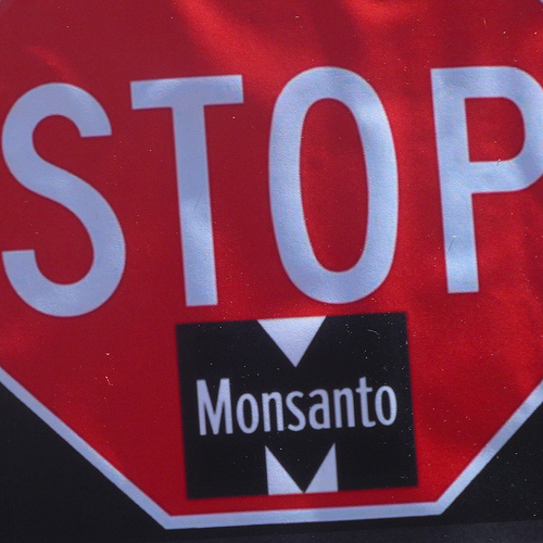 Cómo un pueblo lucha contra el gigante Monsanto