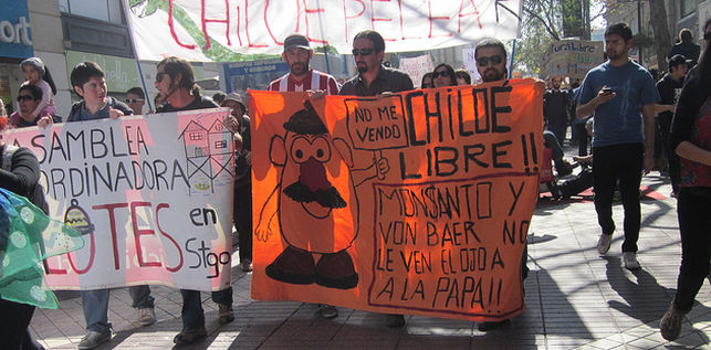 Chile, Colombia y Argentina se rebelan contra el poder de Monsanto y la privatización de semillas