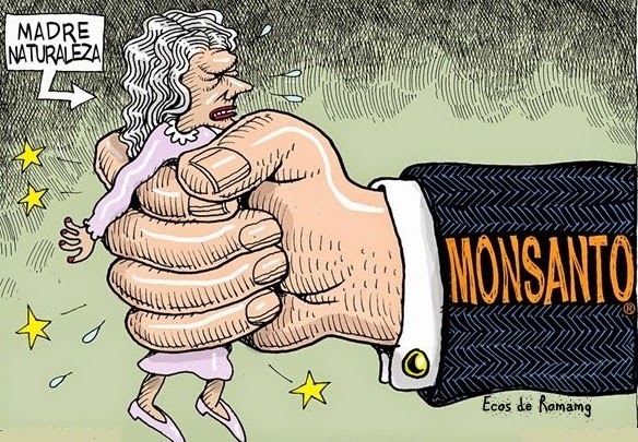 Ley Monsanto: Chile optó por alimentos sanos y Argentina por la vanguardia