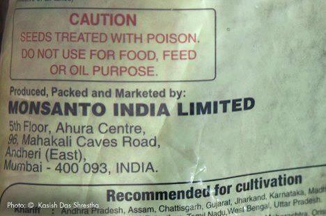 Monsanto admite que las semillas son tratadas con “veneno”