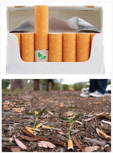 Cigarros con filtros biodegradables rellenos con semillas silvestres