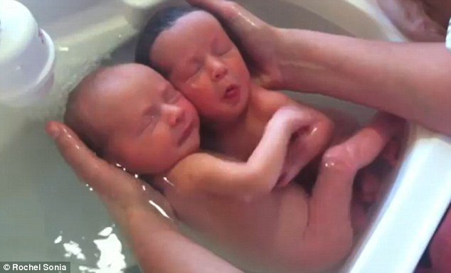 Se viraliza video que muestra el amor primigenio de bebés