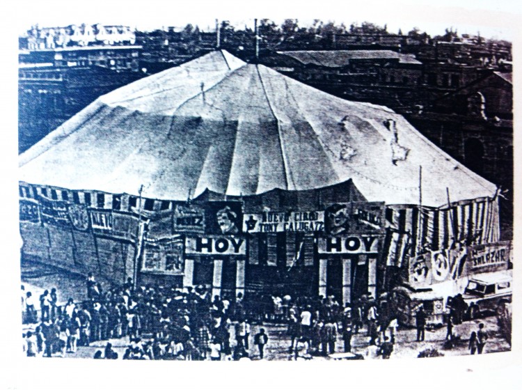 Invitan a Ciclo de conversaciones sobre el Circo Contemporáneo