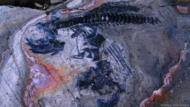 Increíble cementerio de ictiosaurios en el Sur de Chile