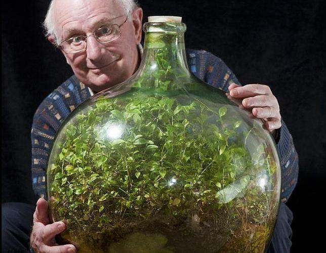 El jardín que lleva 53 años dentro de una botella