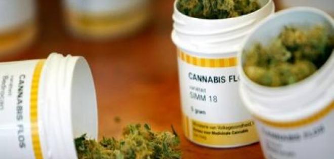 Estado de Florida aprueba implementación de la marihuana medicinal