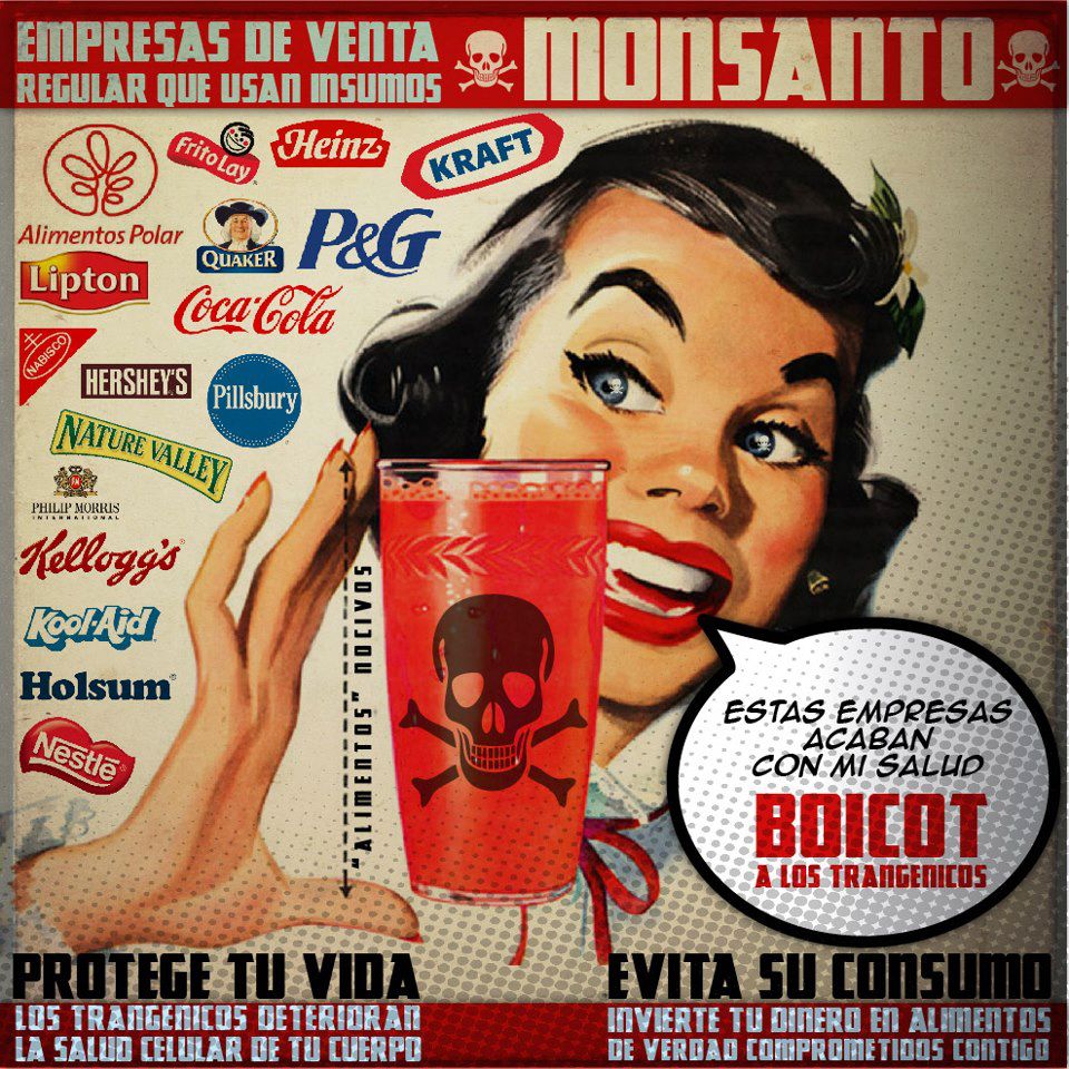 Otro revés para Monsanto: Yucatán prohibe la comercialización de soya transgénica