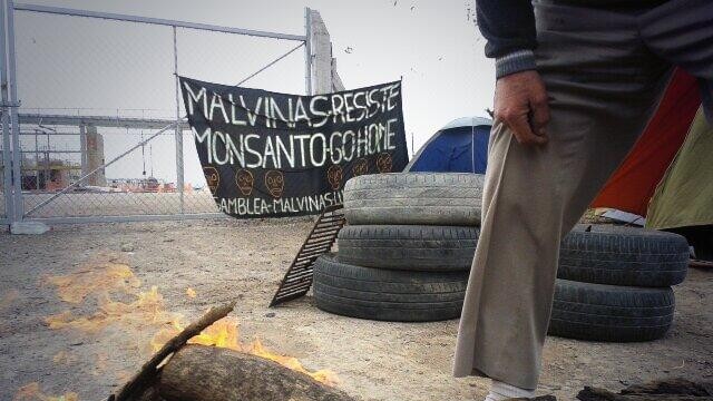 Más de 6 meses llevan luchando contra Monsanto en Argentina