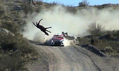 Rally Dakar: «Jamás se ha exigido un Estudio de Impacto Ambiental»