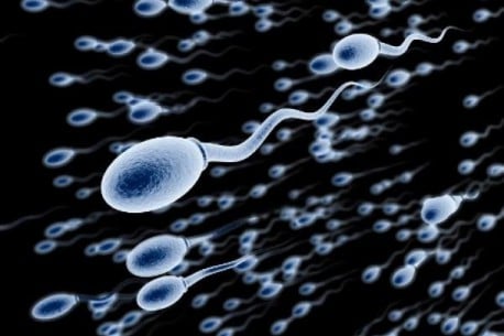 ¿Tiene realmente el semen propiedades nutritivas?