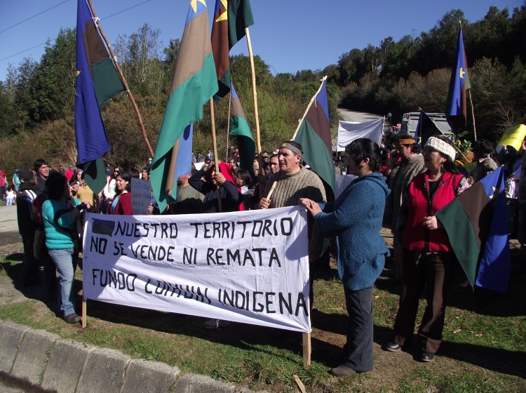 La violencia del Estado chileno para despojar a los williche de sus tierras